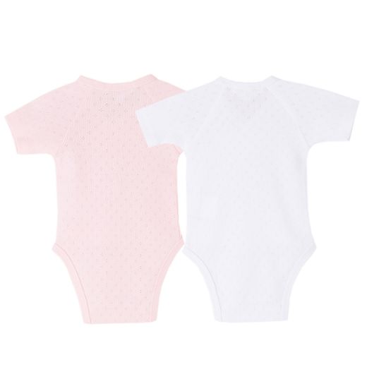 Imagen de BGV71501Bodies (0 Meses)