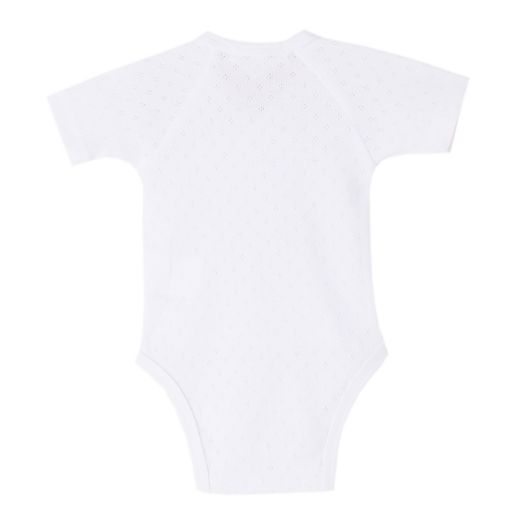 Imagen de BGV71501Bodies (0 Meses)