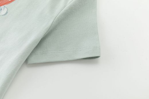 Imagen de Camiseta